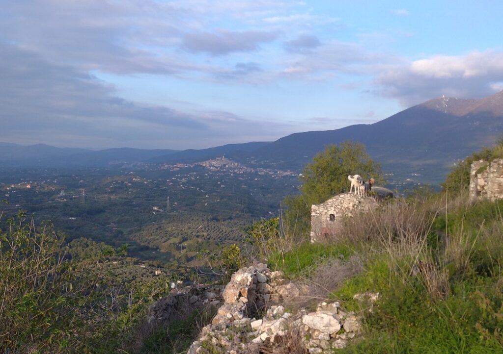 výhled Monte Celio